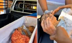 تايلندية تعود للحياة قبل دقائق من حرق جثمانها!